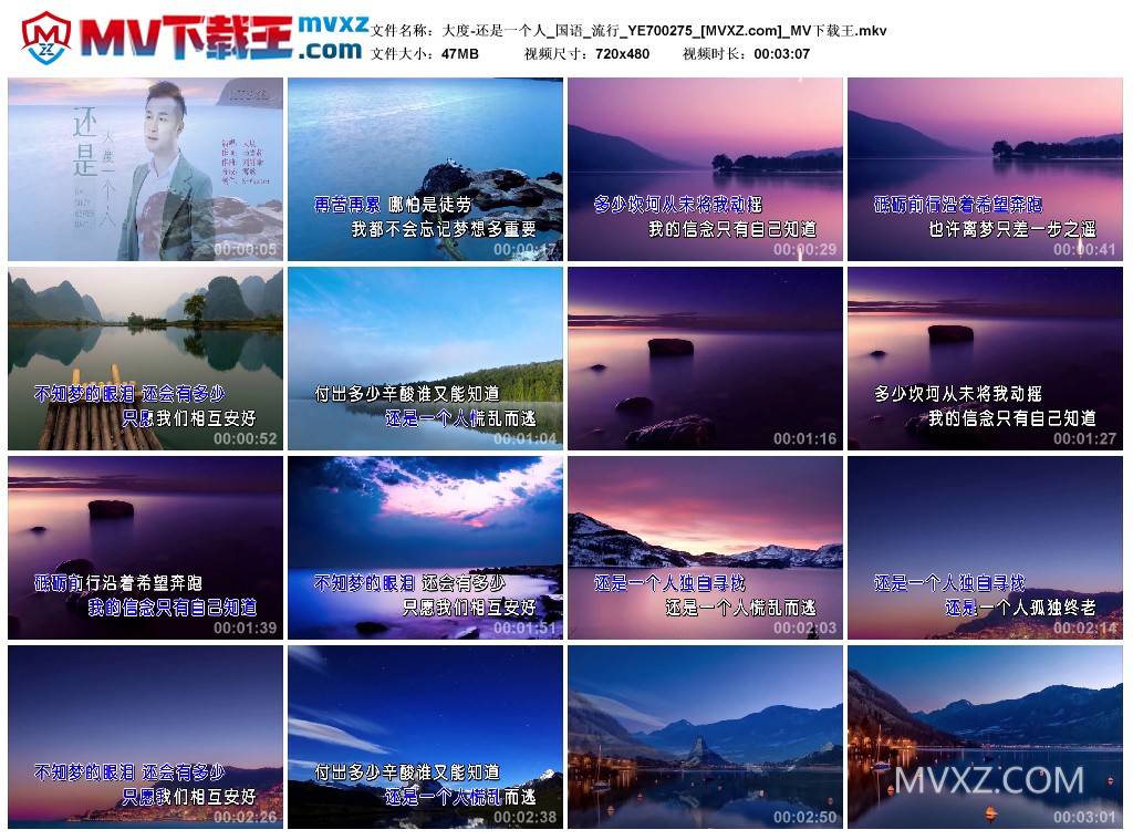 大度-还是一个人_国语_流行_YE700275